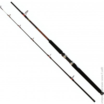    Salmo Power Stick BOAT 100-200/2.10 (32557) 2394-210