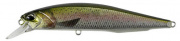  DUO Realis Jerkbait 100SP PIKE 100mm 14.5g CCC3836 Rainbow Trout ND (95580) 34.28.02