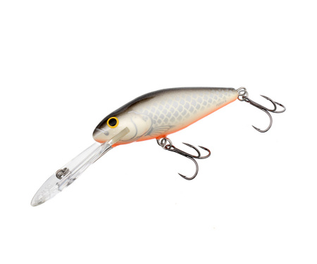   Perch PH8SDR GS (117901) QPH099