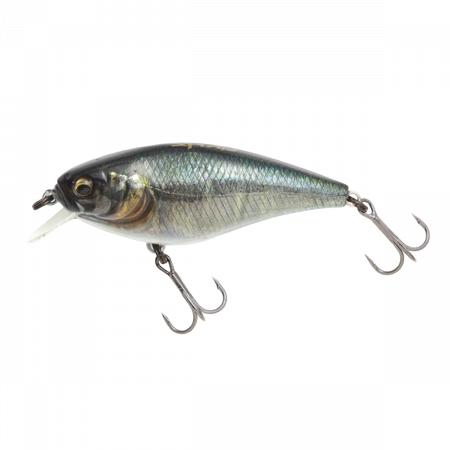  Imakatsu Gekiasa Shad 58SF 7 776 (181476) 5087002