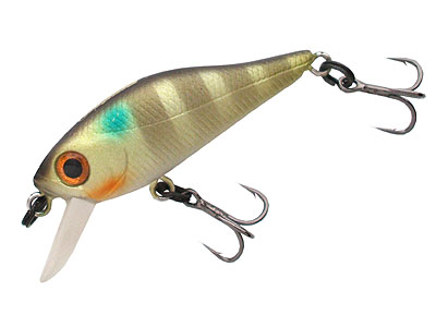  REPULU SHAD 34 F-SR   091  34.  1,45.   0,4 . (27278) 270 0001