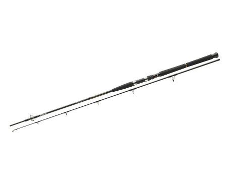  Daiwa BG Boat 2,1m 150-400gr (95234) 11886-210