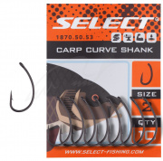  Select Carp Curve Shank 2, 10 / (95998) 1870.50.53