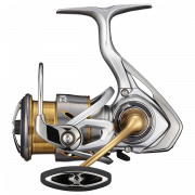  Daiwa 21 Freams LT2500 5+1BB (151541) 1075061