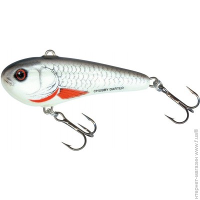 CD3 SRC   SALMO  CHUBBY DARTER ֲ!!!!!! (34858) CD3-SRC