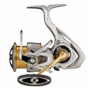  Daiwa 21 Freams LT3000 5+1BB (151542) 1075062