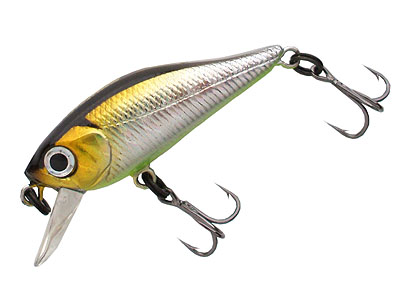  REPULU SHAD 34 F-SR   099  34.  1,45.   0,4 . (27277) 270 0001