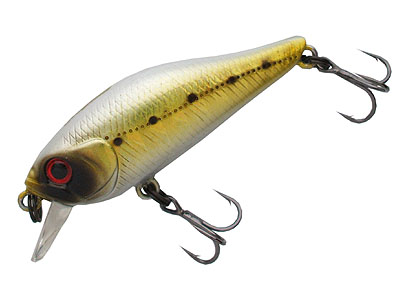  REPULU SHAD 40 F-SR   093  40.  2,4.   0,5 . (27311) 303 0001