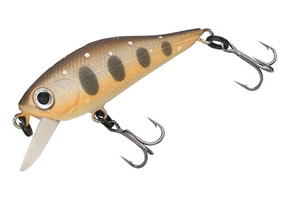  REPULU SHAD 34 F-SR   090  34.  1,45.   0,4 . (27279) 270 0001