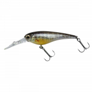  Imakatsu Shad IS Wasp 50SP 3.5 749 (181482) 5087021