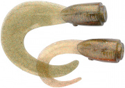   Savage Gear 3D Hard Eel Tail Bait Spare Tail 250mm 02-Olive Gold (2/) (161311) 1854.00.82